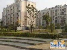 顾村·新顾村大家园(**)·3室·2厅