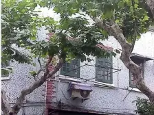 长乐路 南北两房 全明 东边套