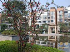 五街区正规两房,霸熟粗糕制表,出行方便