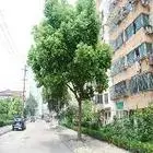 越江新村三室两厅,中等装修,房东诚心出售