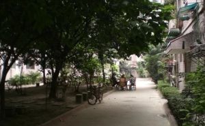 双丰聚苑3室1厅南