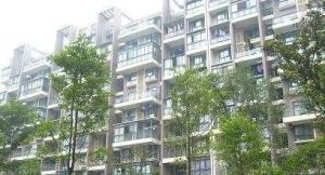 江安河畔 2室1厅 西