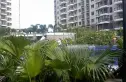 鸿天阁别墅实景图