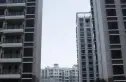 鸿天阁别墅实景图