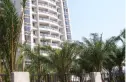 鸿天阁别墅实景图
