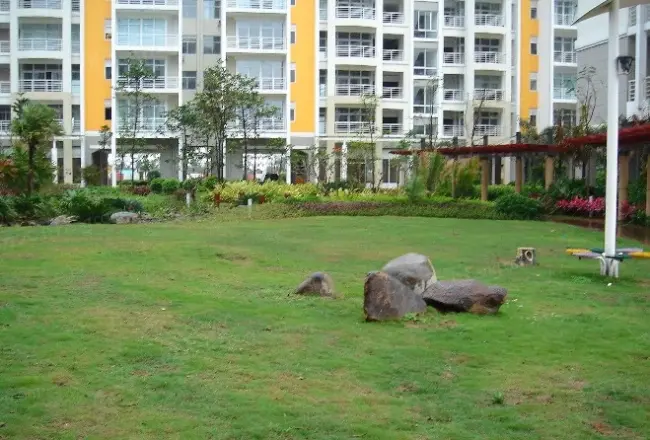 阳光海岸线实景图