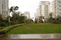 阳光海岸线实景图