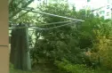 逸沁园实景图
