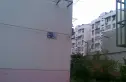逸沁园实景图