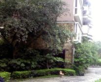 龙江路23号2室1厅南北