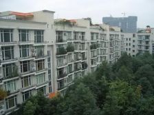 府河音乐花园 5室1厅 东 东南