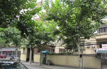 白俄罗斯公寓实景图