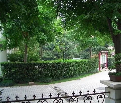 南草坪花园实景图