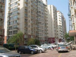 天津路70号河科大南校区3室2厅南