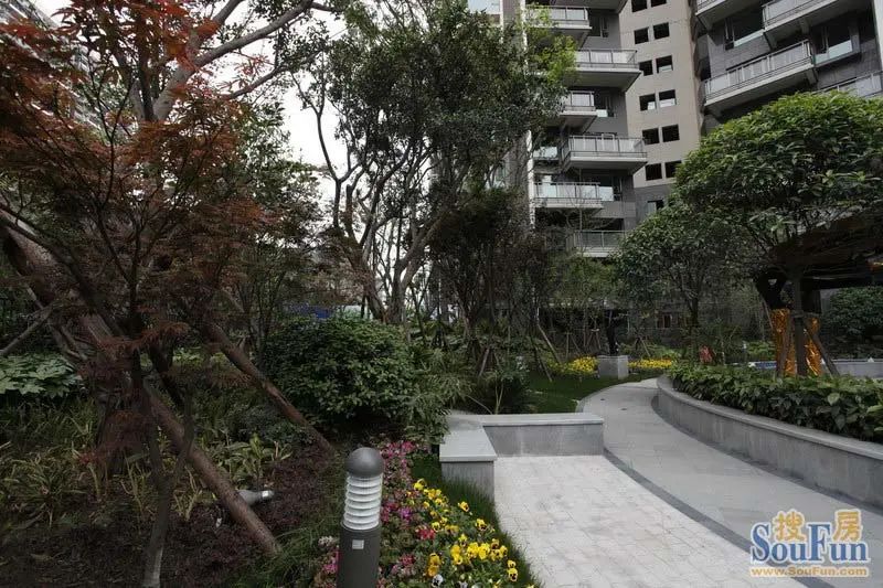 小区相关图