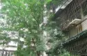 武侯祠大街242号院实景图
