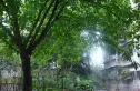 武侯祠大街242号院实景图