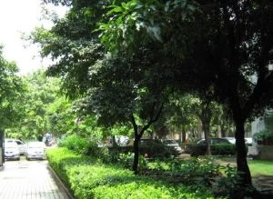 白云花园电梯三房摇号省实业主诚意