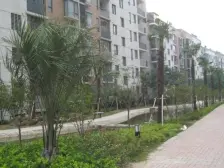 新上小户.楼层好.位置佳.前面是多层全天采光.看中好谈