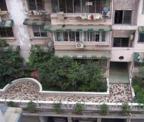 阳光花园(武侯) 4室1厅 南 北