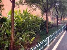 大竹林 慈竹苑四房60万