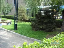 石桥铺交易城,单价六千的正规两室一厅,随时看房