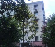 主卧朝南,繁华地段,精装好房,得房率高