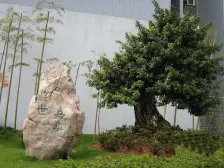 两路老城 龙康街三房42万