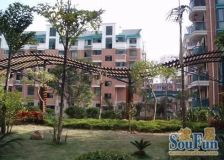 春晓苑 中间楼层 2.5房户型 装修清楚