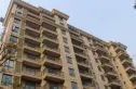 金都九月洋房朗轩实景图
