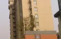 金都九月洋房朗轩实景图