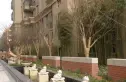 金都九月洋房朗轩实景图