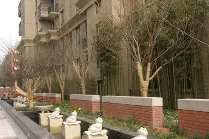 金都九月洋房朗轩实景图