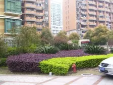 稀南北通三房一楼带花园诚意出售停车方