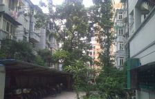 品质小区,环境优美,精装修,诚意出售