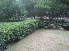 高安路 肇嘉浜路 曼舍精装修大平层3+1房 徐家汇公园旁