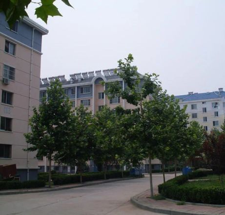 龙泉小区实景图
