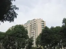 狮山·格林花园·3室·2厅