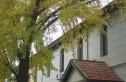 湖北中医学院宿舍实景图