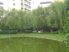 康河郦景二期 3室2厅 南