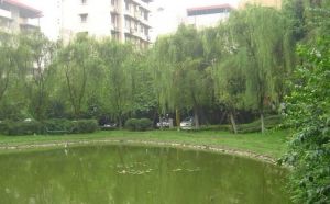 康河郦景二期 3室1厅 南