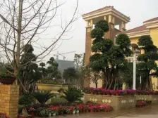 看江,装修花了六十多万,横厅四房