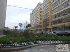 此房格局好,全朝南的户型,中低楼层,采光好