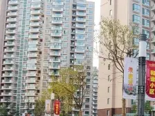 近地铁 采光好,电梯房,无抵押 新上房源