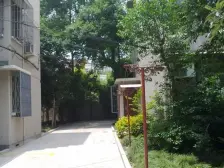 武康路推窗见绿,风景如画,公房中的战斗机胜似老公寓