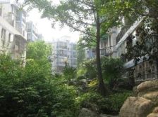 学邻名苑1室1厅东南南西南西