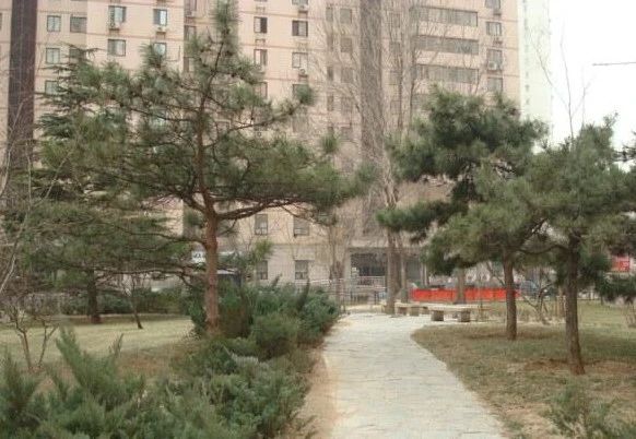 小区相关图