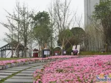 城南新区 方山境二房60万