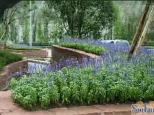 一楼带花园,精装修,龙湖物业,随时看房。