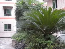 城北新区 新城花园三房